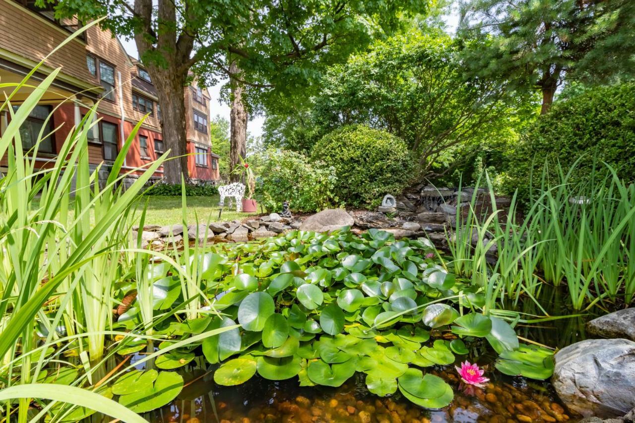 Saratoga Dreams Bed And Breakfast Саратога Спрингс Екстериор снимка